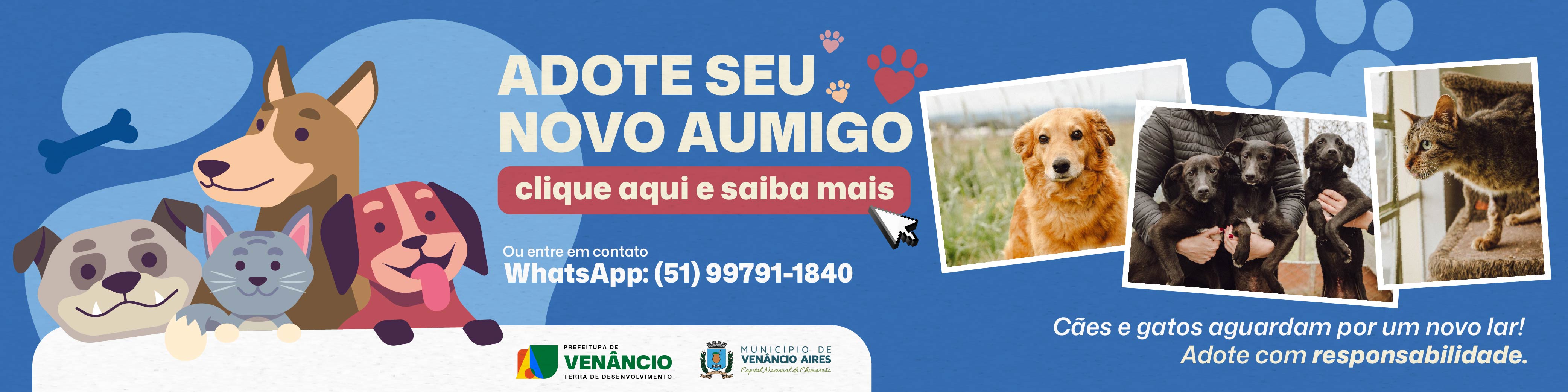 Encontre seu Pet